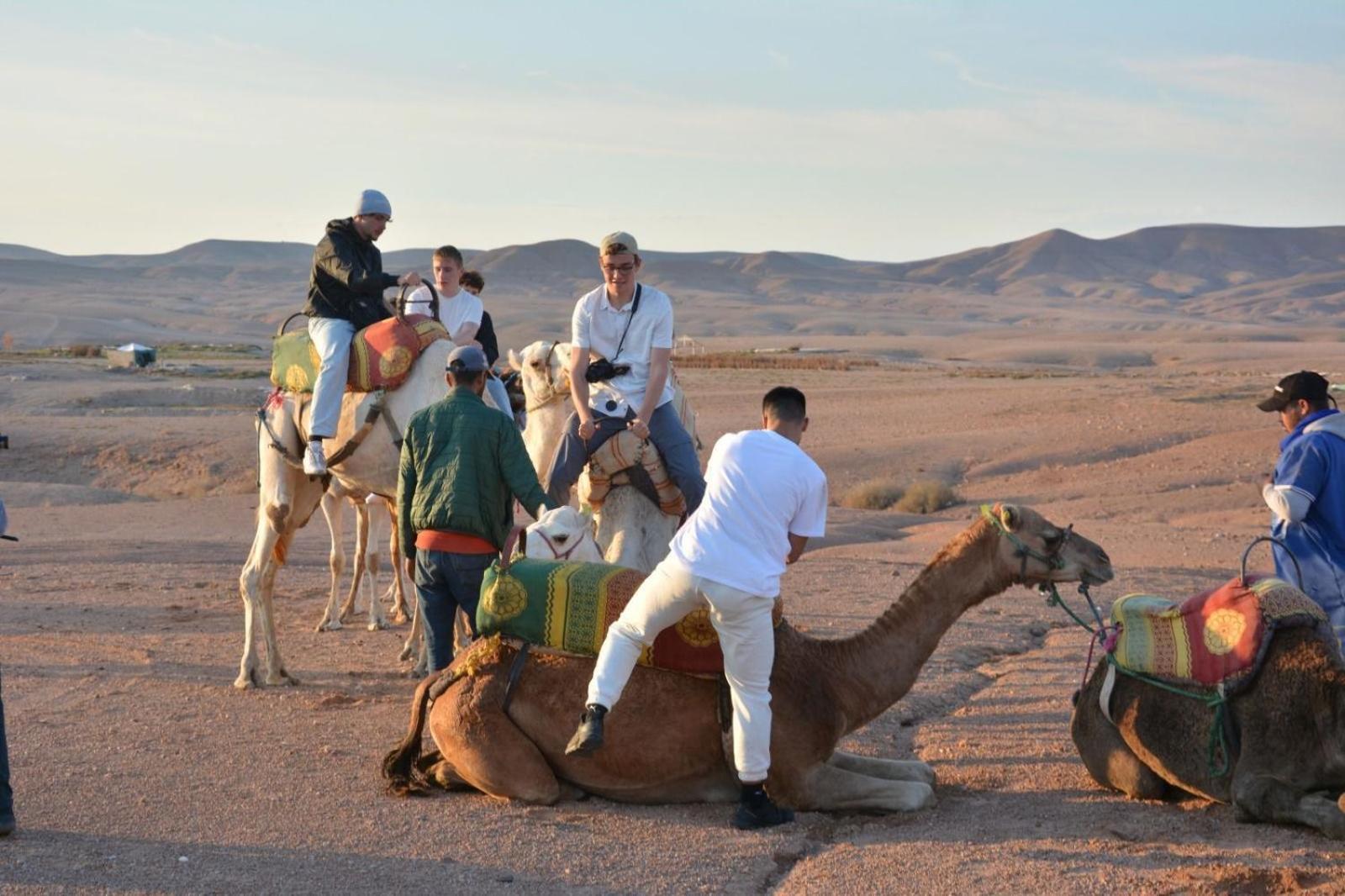 Dia * Marrakesh